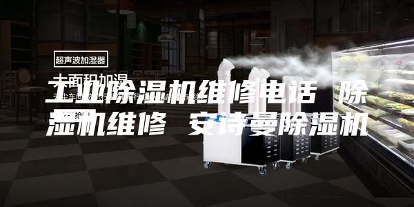 工業(yè)除濕機(jī)維修電話 除濕機(jī)維修 安詩(shī)曼除濕機(jī)