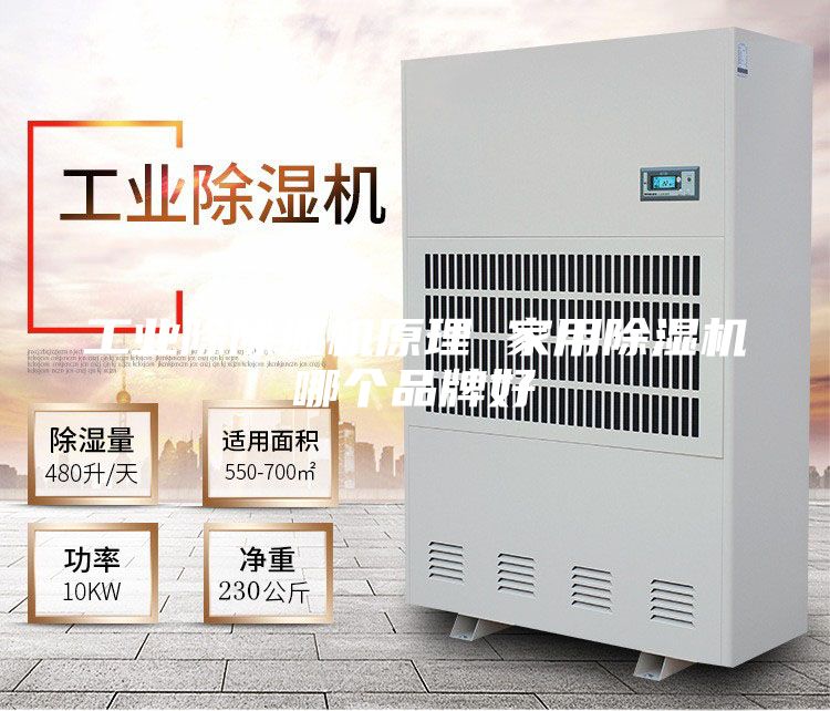 工業(yè)除除濕機原理 家用除濕機哪個品牌好