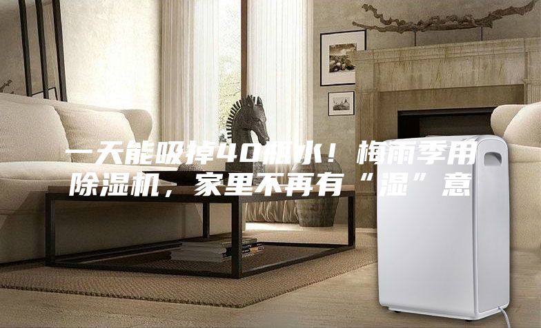 一天能吸掉40瓶水！梅雨季用除濕機(jī)，家里不再有“濕”意