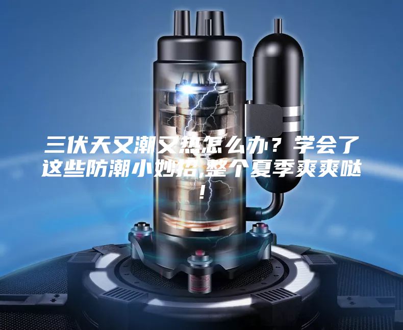 三伏天又潮又熱怎么辦？學(xué)會(huì)了這些防潮小妙招,整個(gè)夏季爽爽噠!