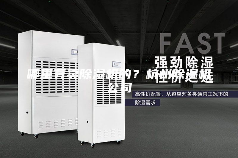哪里有賣除濕機的？杭州除濕機公司