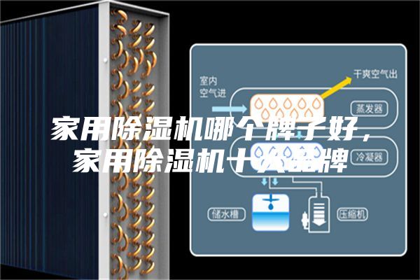 家用除濕機哪個牌子好，家用除濕機十大品牌