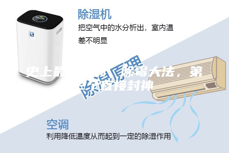 史上最全防潮、除霉大法，第2個(gè)直接封神