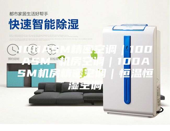 100ASM精密空調(diào)|100ASM 機房空調(diào)|100ASM機房精密空調(diào)|恒溫恒濕空調(diào)