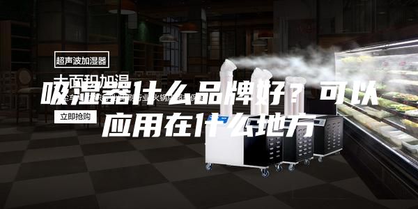 吸濕器什么品牌好?可以應用在什么地方