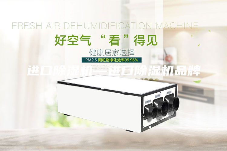 進(jìn)口除濕機—進(jìn)口除濕機品牌介紹