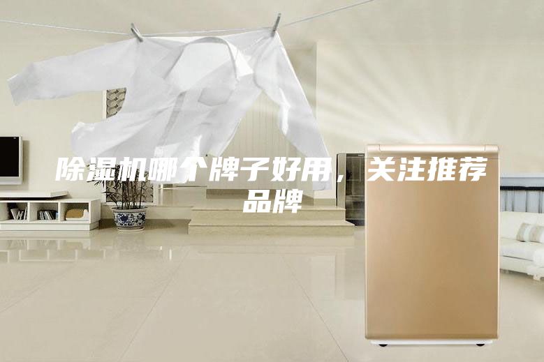 除濕機(jī)哪個(gè)牌子好用，關(guān)注推薦品牌