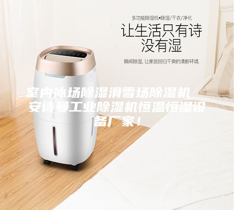 室內冰場除濕滑雪場除濕機  安詩曼工業除濕機恒溫恒濕設備廠家！