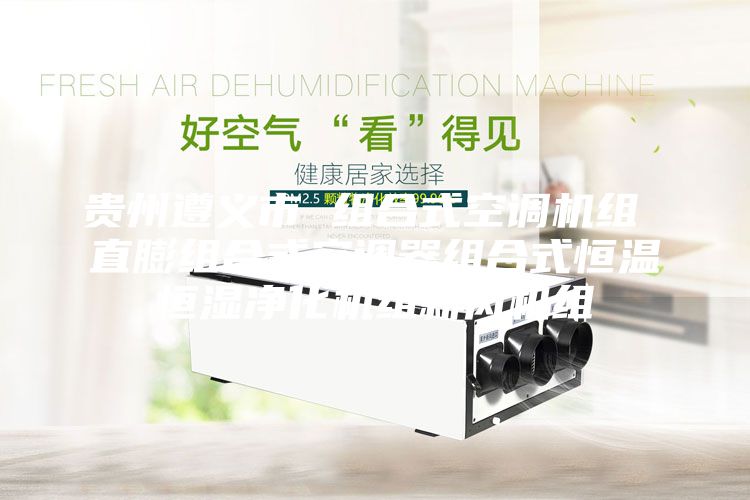 貴州遵義市 組合式空調機組 直膨組合式空調器組合式恒溫恒濕凈化機組新風機組