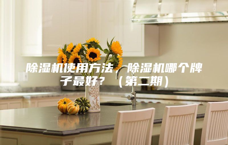除濕機使用方法，除濕機哪個牌子最好？（第二期）