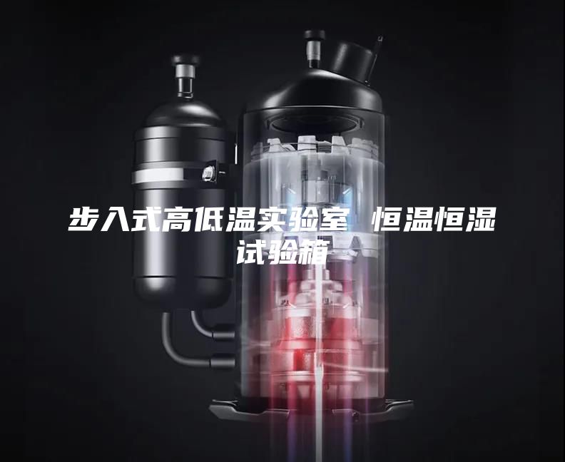 步入式高低溫實驗室 恒溫恒濕試驗箱