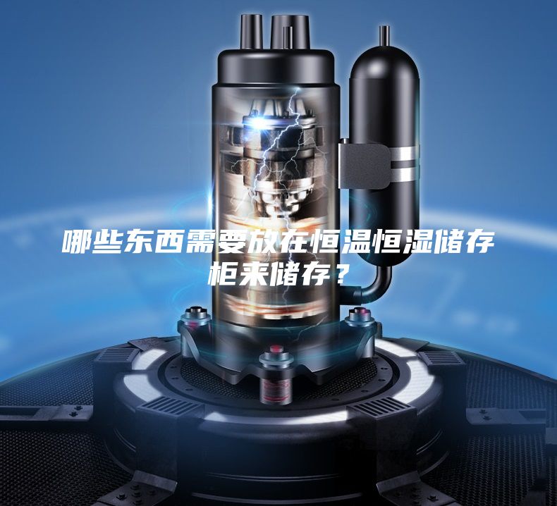 哪些東西需要放在恒溫恒濕儲存柜來儲存？