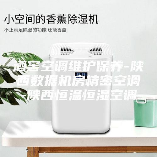 酒窖空調(diào)維護(hù)保養(yǎng)-陜西數(shù)據(jù)機(jī)房精密空調(diào)-陜西恒溫恒濕空調(diào)