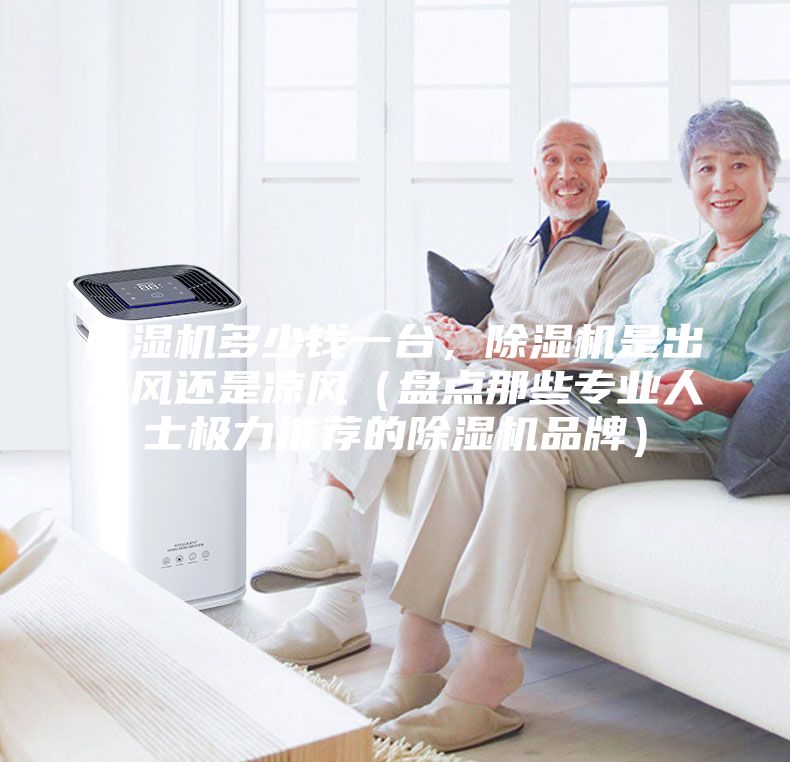 除濕機多少錢一臺,除濕機是出熱風還是涼風(盤點那些專業人士極力推薦的除濕機品牌)
