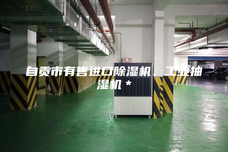 自貢市有售進口除濕機、工業抽濕機＊