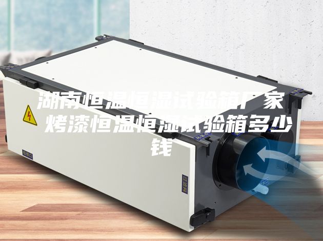 湖南恒溫恒濕試驗(yàn)箱廠家 烤漆恒溫恒濕試驗(yàn)箱多少錢