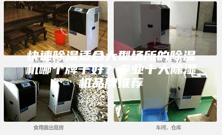 快速除濕適合大型場所的除濕機(jī)哪個牌子好？專業(yè)十大除濕機(jī)品牌推薦