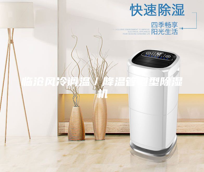 臨滄風(fēng)冷調(diào)溫／降溫管道型除濕機