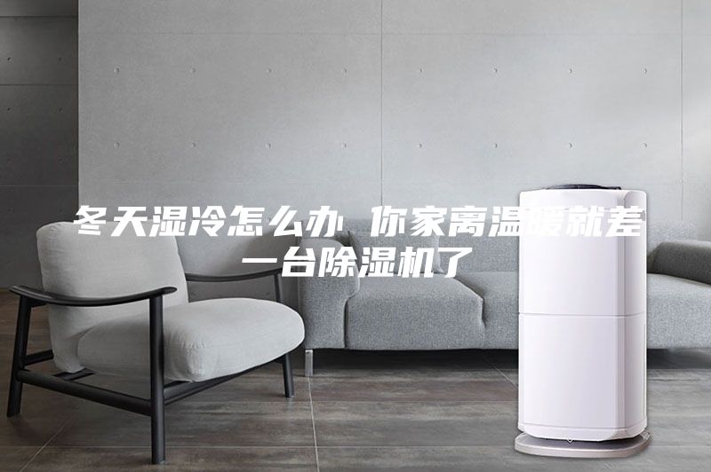 冬天濕冷怎么辦 你家離溫暖就差一臺(tái)除濕機(jī)了