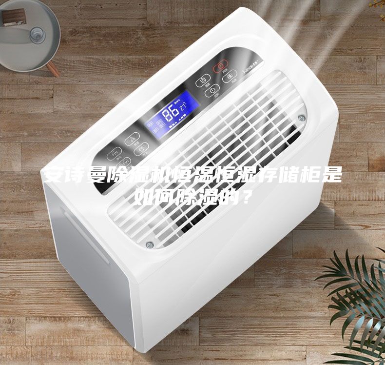 安詩(shī)曼除濕機(jī)恒溫恒濕存儲(chǔ)柜是如何除濕的？