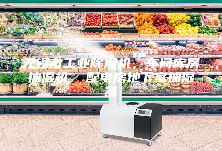 無錫市工業(yè)除濕機(jī)，車間庫房抽濕機(jī)  配電房地下室抽濕器