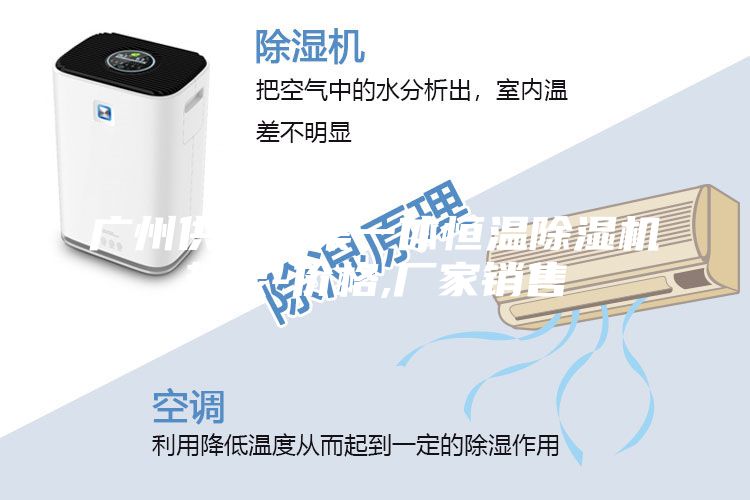 廣州供應(yīng)三集一體恒溫除濕機(jī)熱泵-價(jià)格,廠家銷(xiāo)售