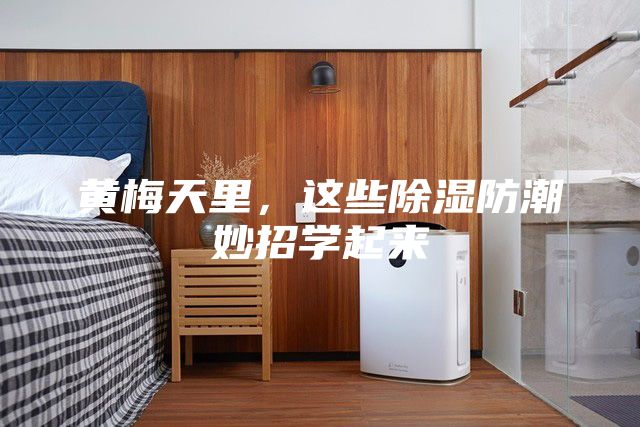 黃梅天里，這些除濕防潮妙招學起來