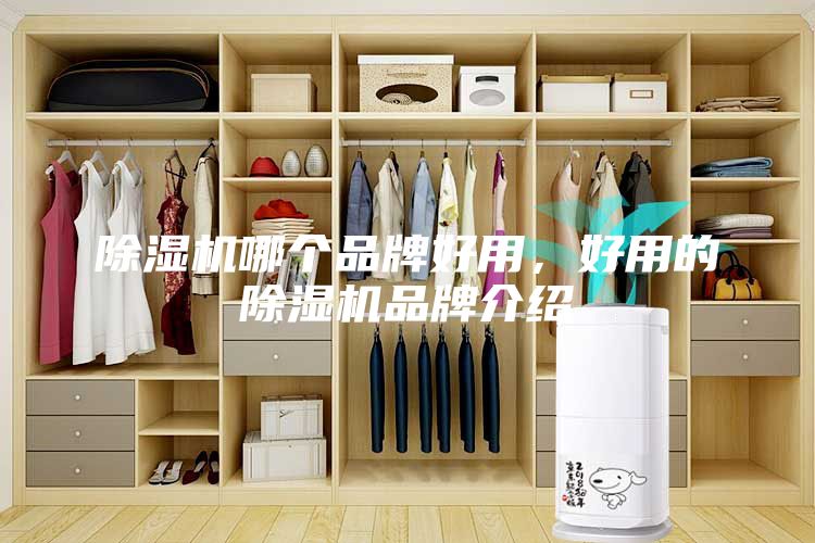 除濕機(jī)哪個(gè)品牌好用，好用的除濕機(jī)品牌介紹
