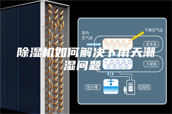 除濕機如何解決下雨天潮濕問題？