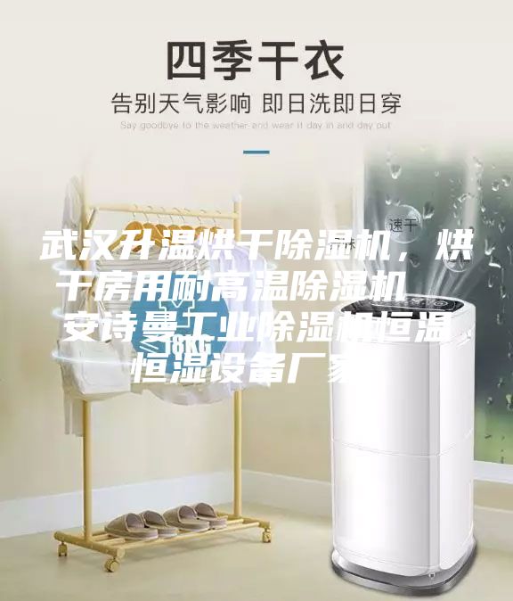武漢升溫烘干除濕機，烘干房用耐高溫除濕機  安詩曼工業除濕機恒溫恒濕設備廠家！