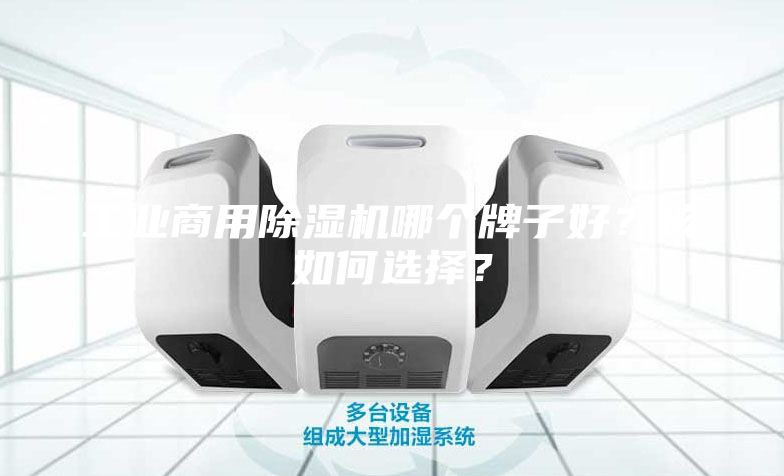 工業(yè)商用除濕機(jī)哪個(gè)牌子好？該如何選擇？