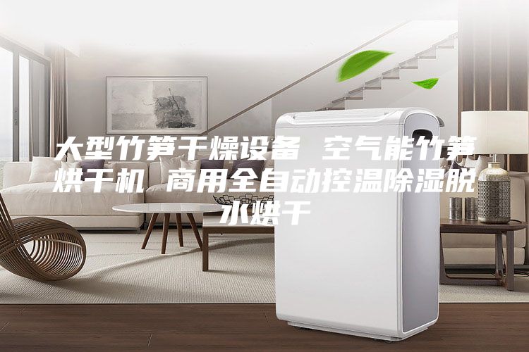 大型竹筍干燥設(shè)備 空氣能竹筍烘干機 商用全自動控溫除濕脫水烘干