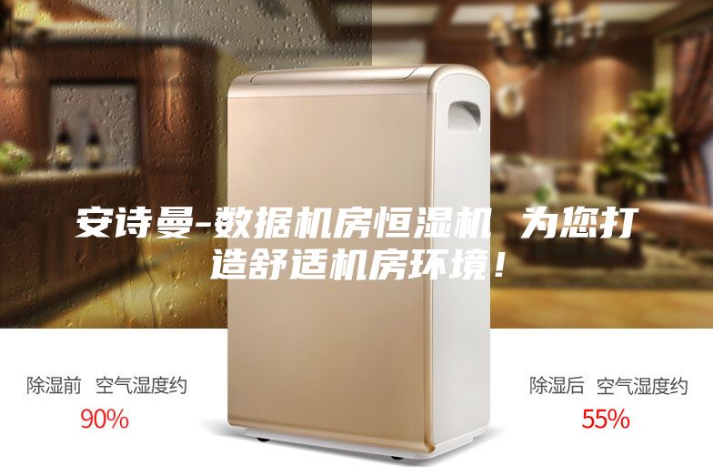 安詩曼-數據機房恒濕機 為您打造舒適機房環境！