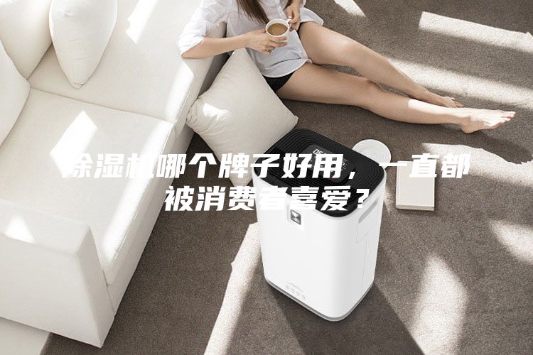 除濕機(jī)哪個(gè)牌子好用，一直都被消費(fèi)者喜愛(ài)？