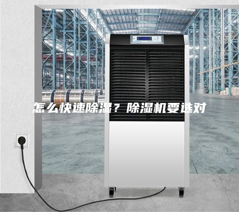 怎么快速除濕？除濕機要選對