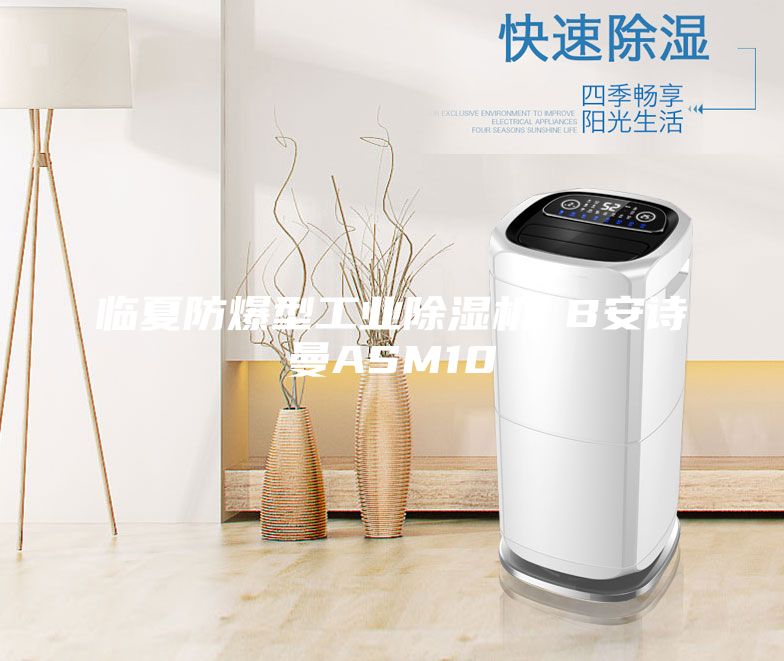 臨夏防爆型工業(yè)除濕機(jī) B安詩曼ASM10