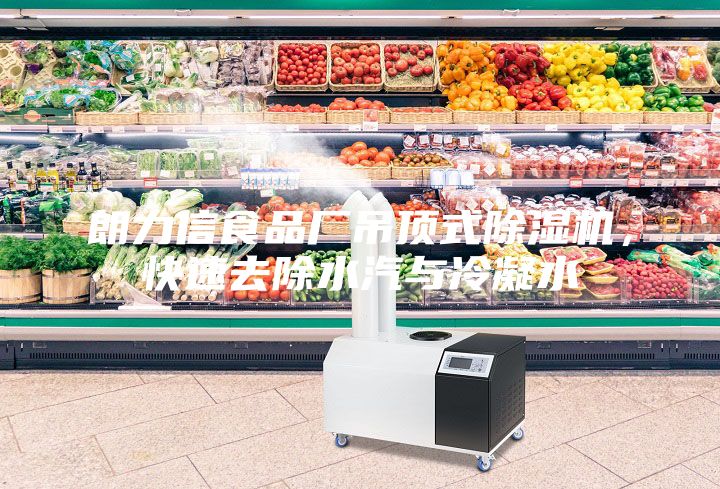 朗力信食品廠吊頂式除濕機(jī)，快速去除水汽與冷凝水