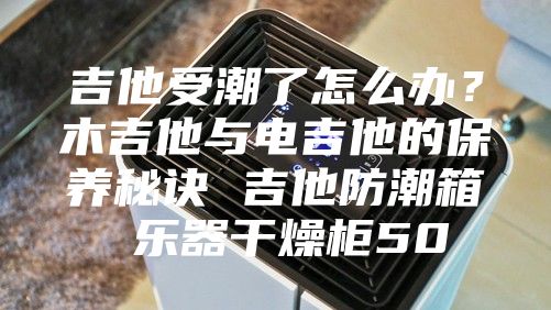 吉他受潮了怎么辦？木吉他與電吉他的保養秘訣 吉他防潮箱 樂器干燥柜50