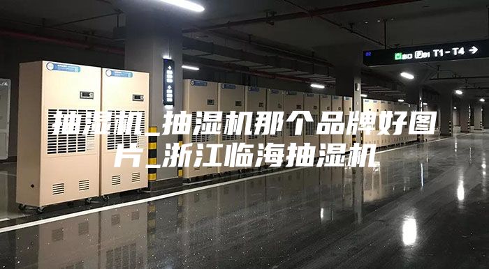 抽濕機_抽濕機那個品牌好圖片_浙江臨海抽濕機
