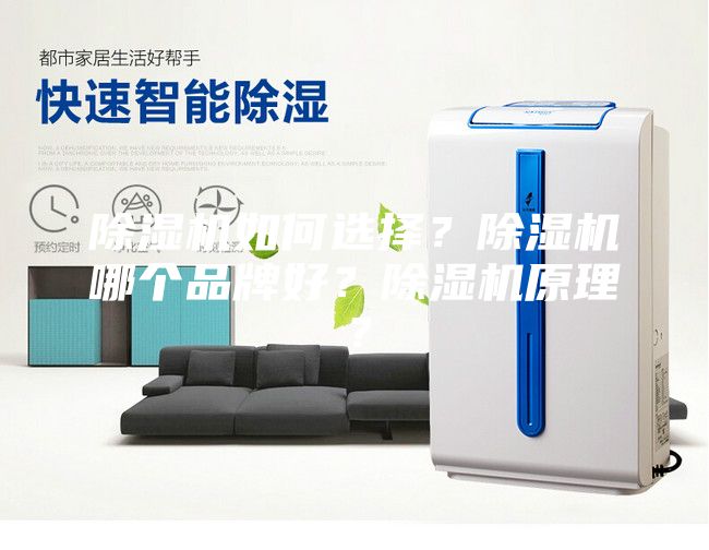 除濕機如何選擇?除濕機哪個品牌好?除濕機原理?