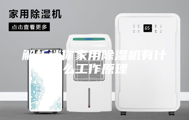 解析迷你家用除濕機有什么工作原理