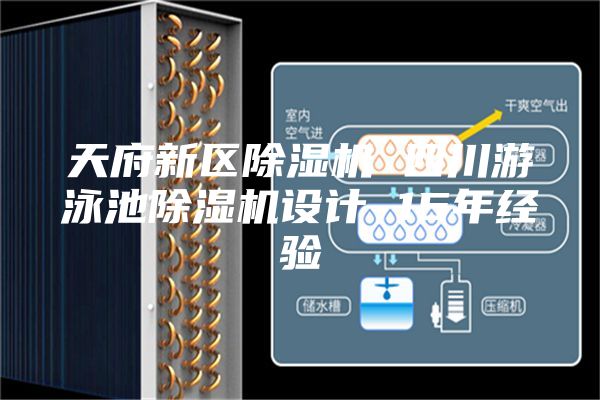 天府新區(qū)除濕機(jī) 四川游泳池除濕機(jī)設(shè)計 15年經(jīng)驗