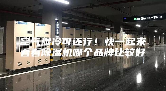 空氣濕冷可還行！快一起來(lái)看看除濕機(jī)哪個(gè)品牌比較好