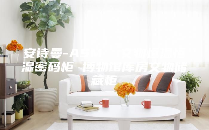 安詩曼-ASM  文物恒溫恒濕密碼柜 博物館庫房文物儲藏柜