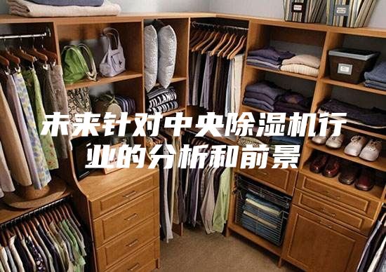 未來針對中央除濕機行業(yè)的分析和前景