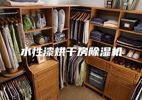 水性漆烘干房除濕機(jī)
