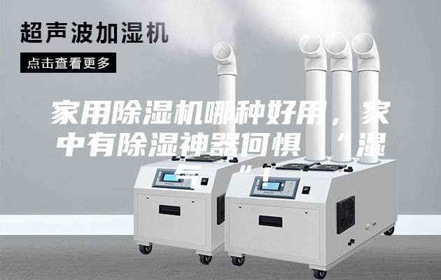 家用除濕機哪種好用，家中有除濕神器何懼 “濕氣 “！