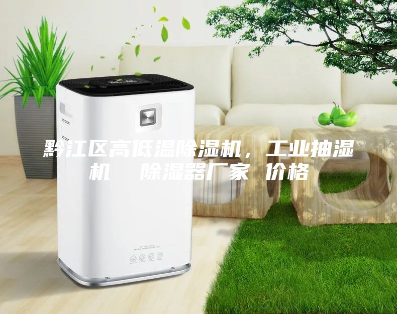 黔江區(qū)高低溫除濕機，工業(yè)抽濕機  除濕器廠家 價格