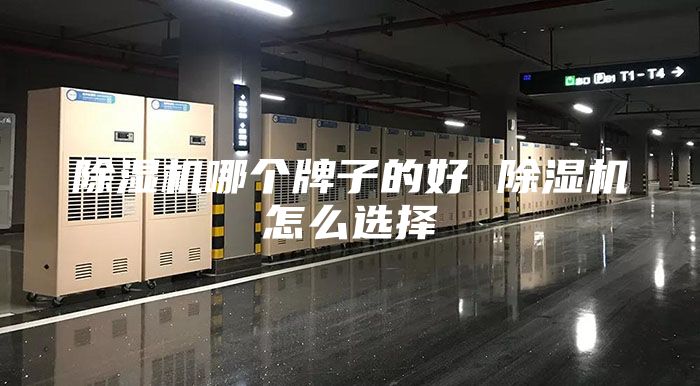 除濕機哪個牌子的好 除濕機怎么選擇