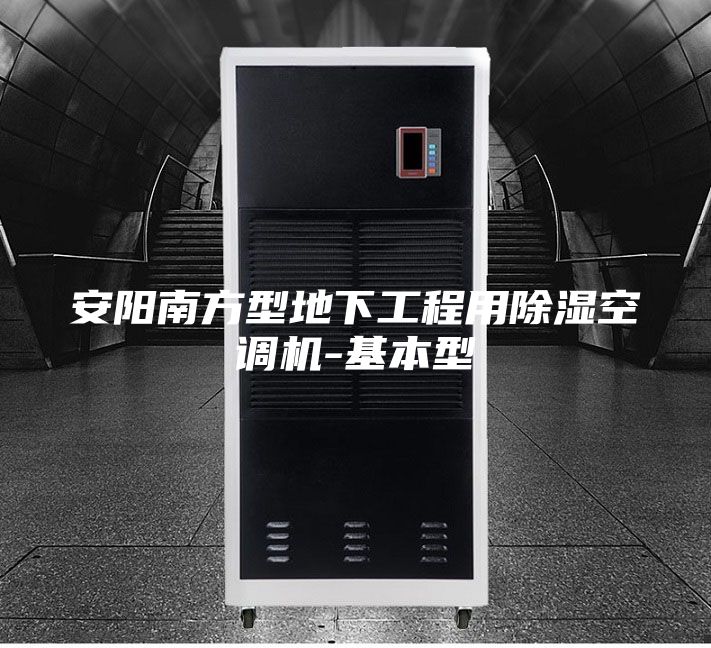 安陽南方型地下工程用除濕空調(diào)機-基本型